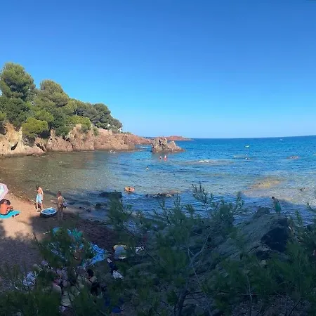 L Eden Et Piscine 53 M2 公寓 圣艾格夫