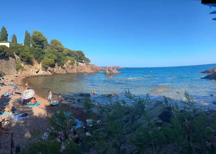 L Eden Et Piscine 53 M2 公寓 圣艾格夫